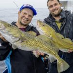 Angler mit Dorschen auf einem Boot auf der dänischen Nordsee