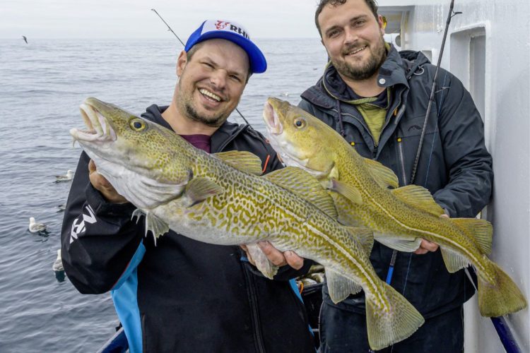 Angler mit Dorschen auf einem Boot auf der dänischen Nordsee