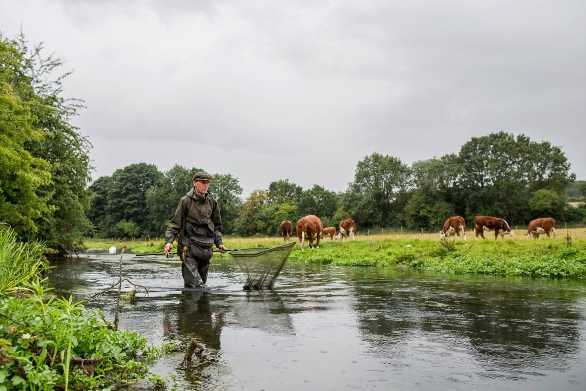 Angler auf der Barbenpirsch im Fluss