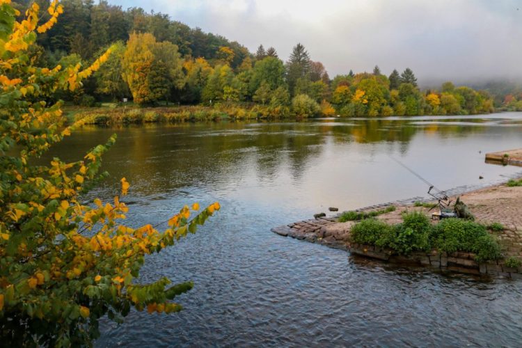 Ansitzangeln am Fluss