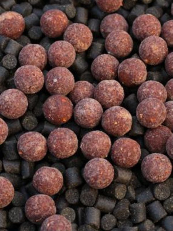 Mischung aus Boilies und Pellets