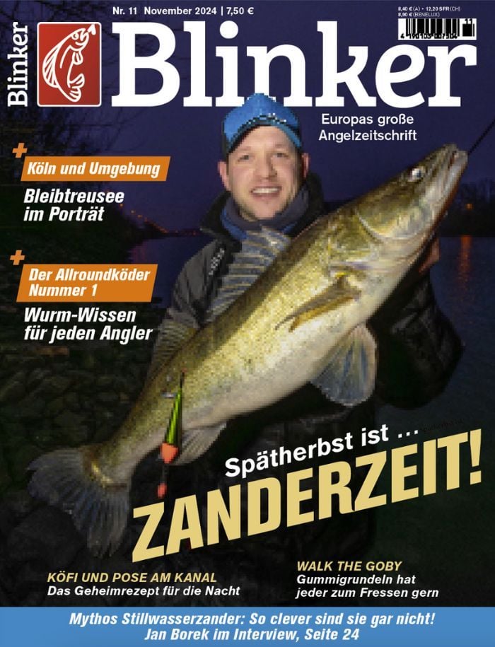 Blinker 11/2024: Spätherbst ist Zanderzeit!