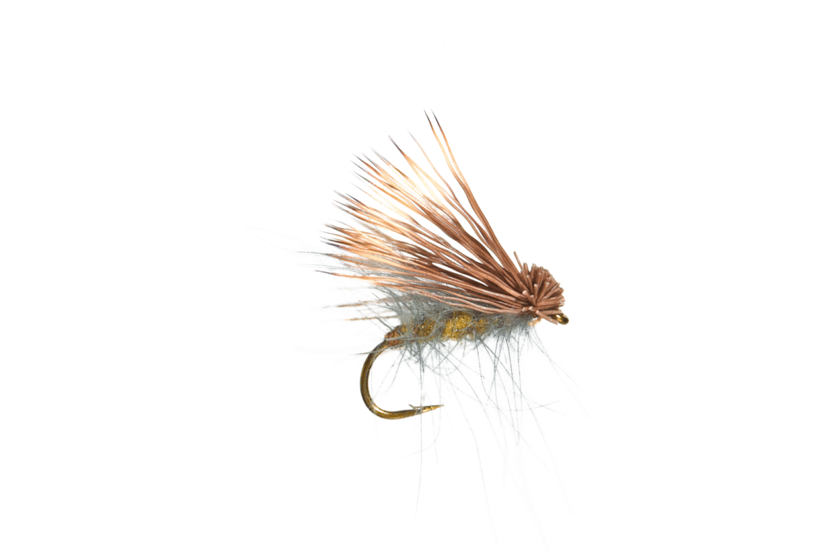 Buck Caddis