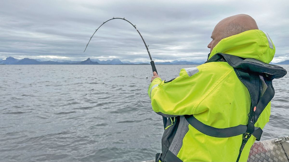 Meeresangler mit krummer Bootsrute in Norwegen