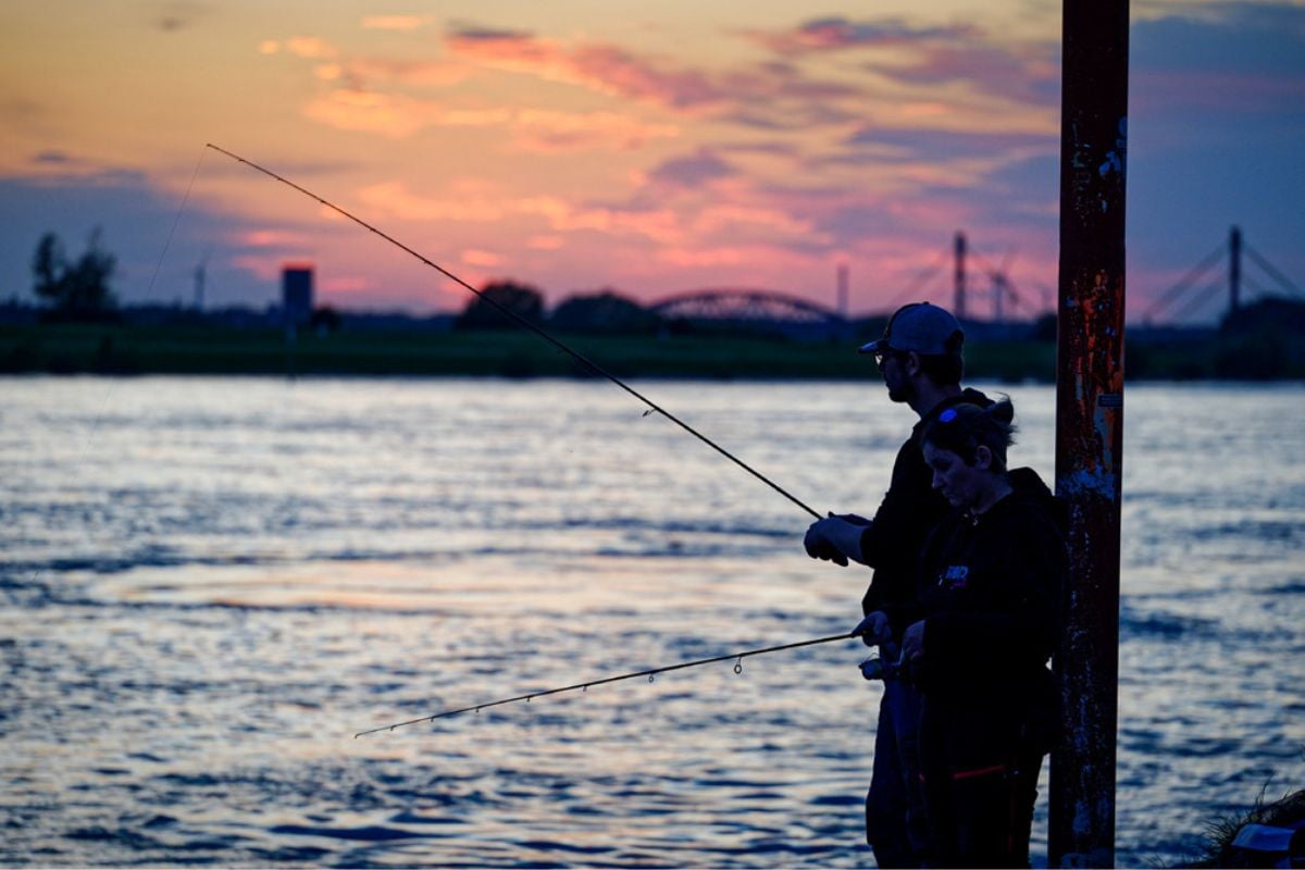 Spinnangler vor Abendrot