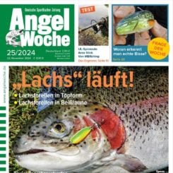 AngelWoche