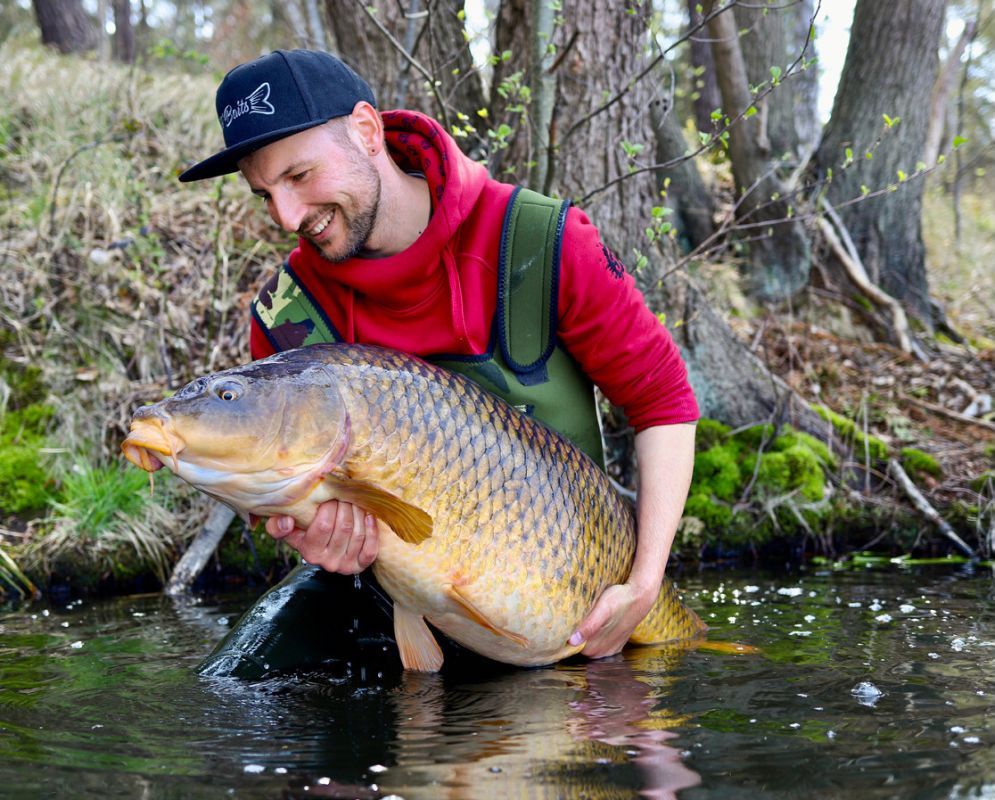 Schuppenkarpfen mit eingeweichten Boilies