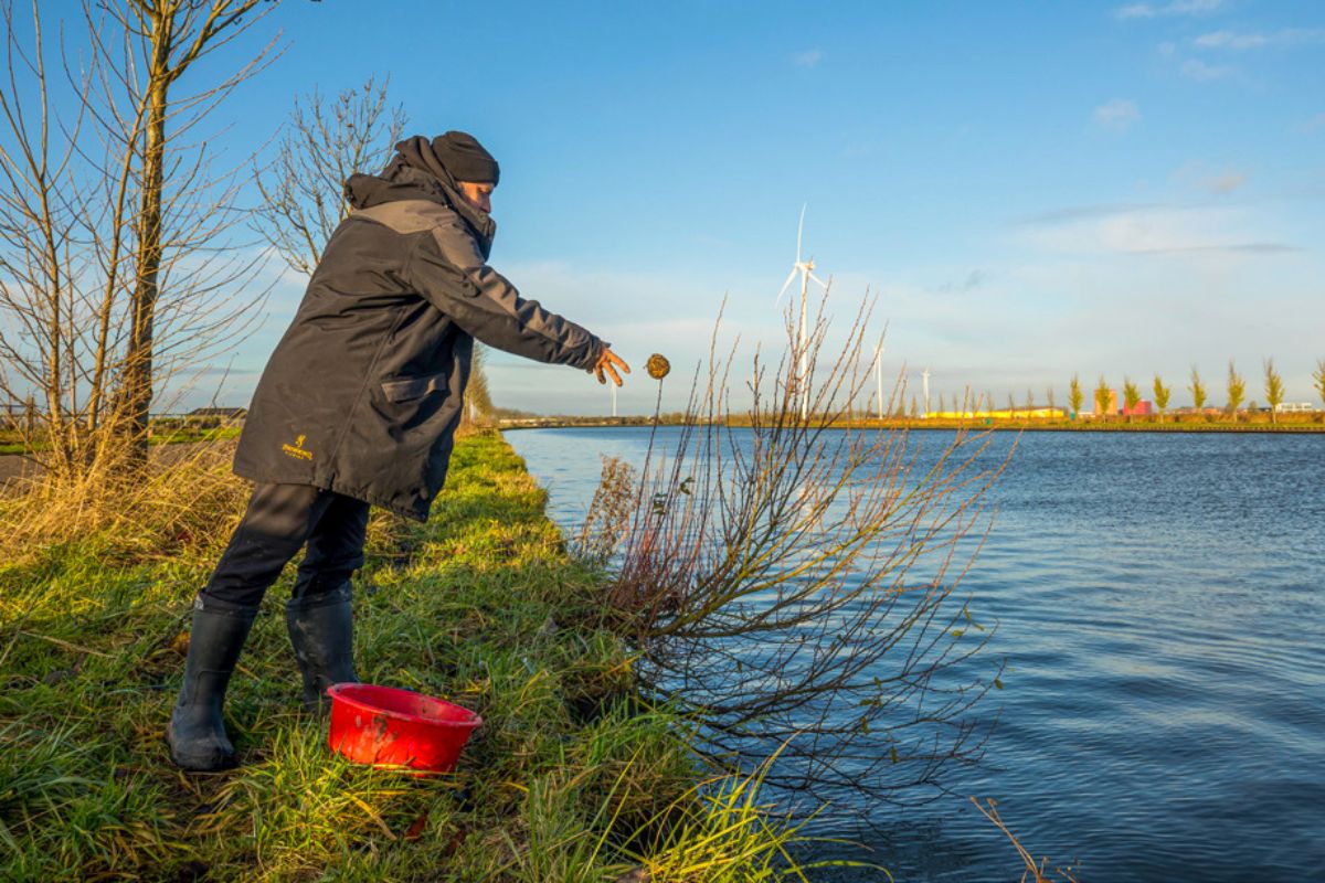 Angler füttert Raubfische im Kanal an