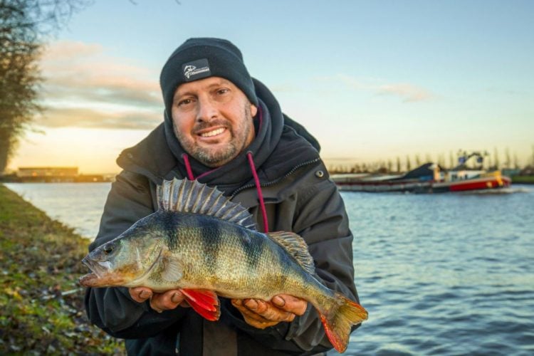 Angler mit Barsch am Kanal