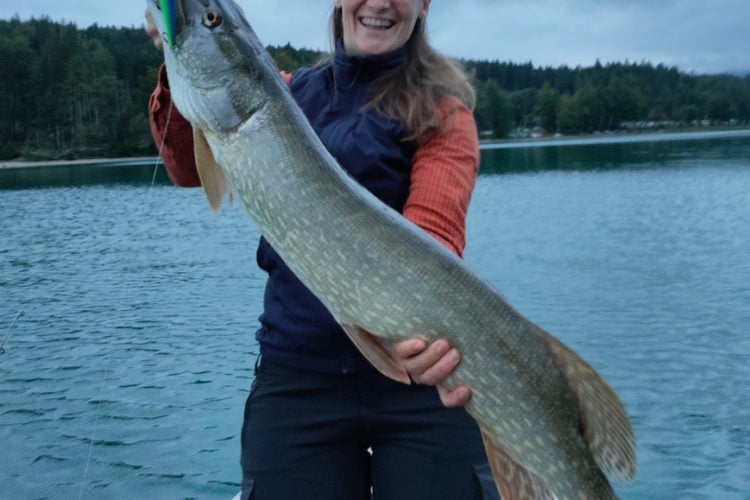 97 cm Hecht: Ein Traumfang aus dem Walchensee