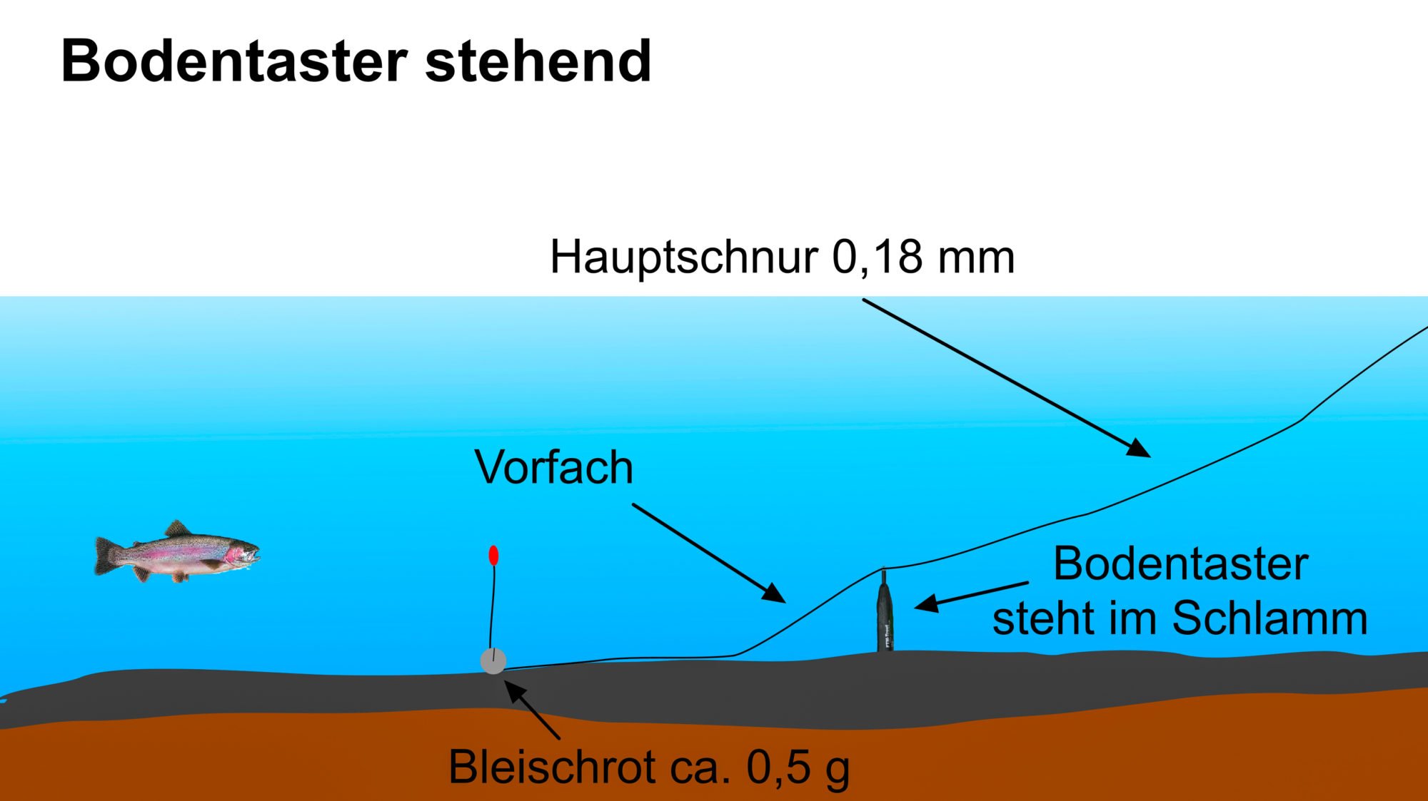 Bodentaster stehend Zeichnung Montage