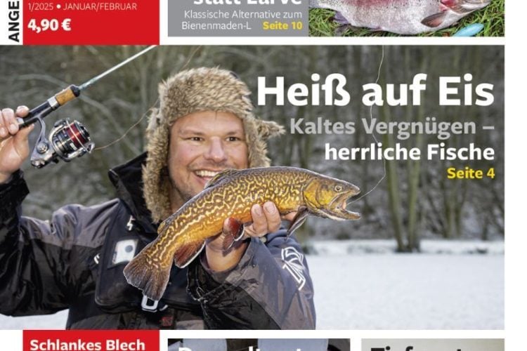 ANGELSEE aktuell 01/2025 – am Kiosk und online erhältlich!