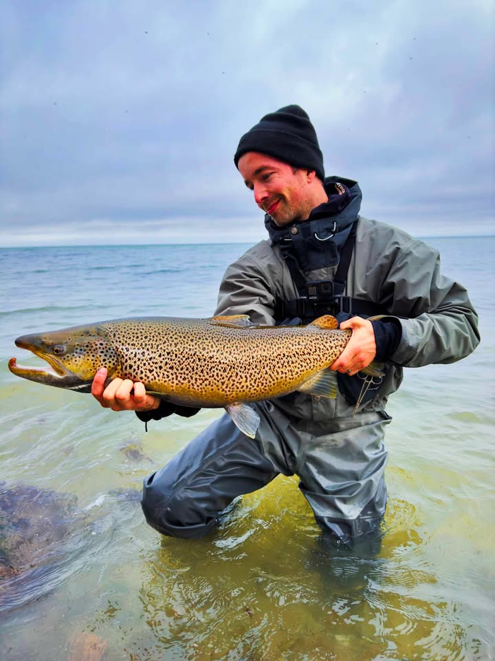 Nico Hollensen mit seiner kapitalen Meerforelle, gefangen an der Küste in Schleswig-Holstein.