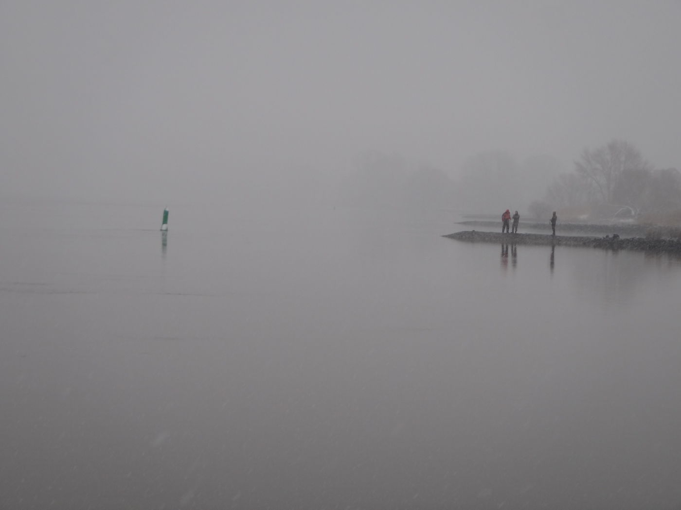 Winter Nebel Elbe, Buhnen Spinnfischer