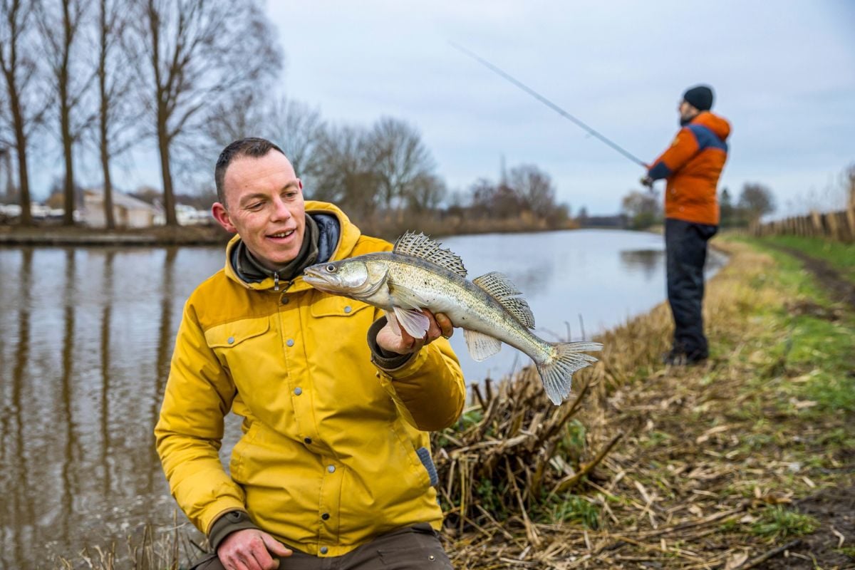 Robert de Wilt mit Zander aus der Hollandse IJssel