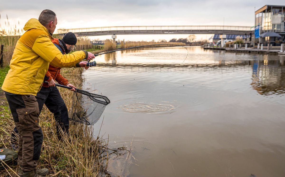 Fisch im Drill an der Hollandse IJssel