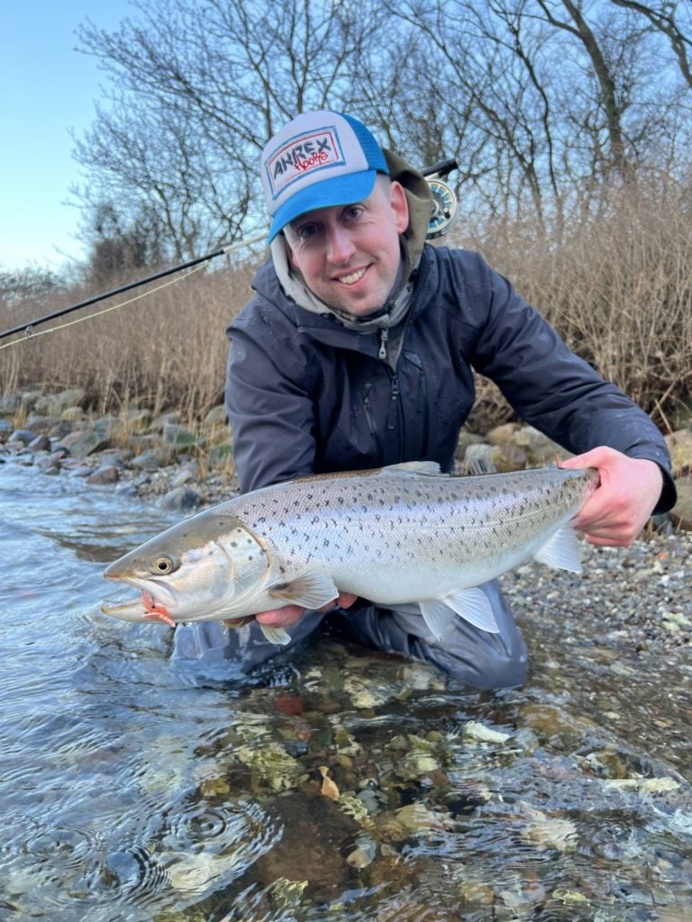 Meerforelle auf SloMo Rejeflue (Garnelenfliege) gefangen beim Fliegenfischen