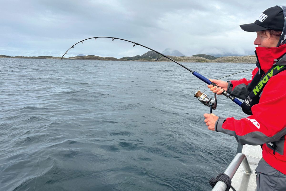 Bootsangler mit Köhler im Drill