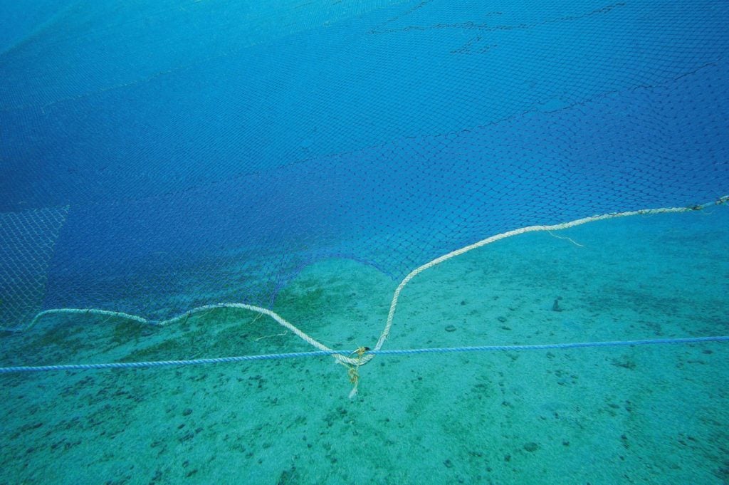 Ein Grundschleppnetz unter Wasser in Bodennähe