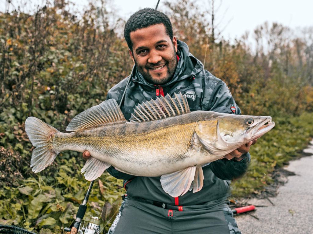 Zander legen Wert auf die richtige Gummifisch-Größe, dieser biss auf einen 25 cm Mc Walleye