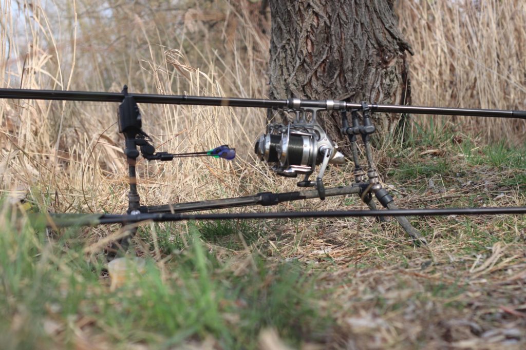 Ruten auf einem Rod Pod vor einer Schilfwand im Frühling