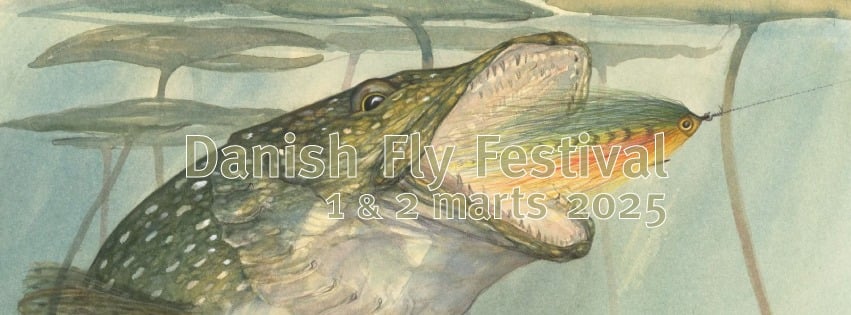 Danish Fly Festival