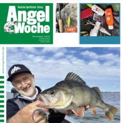 AngelWoche