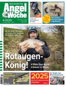 Cover der Angelwoche 04/2025: Rotaugen-König!