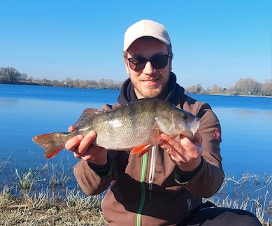 großer Barsch Winter Vorzeiger