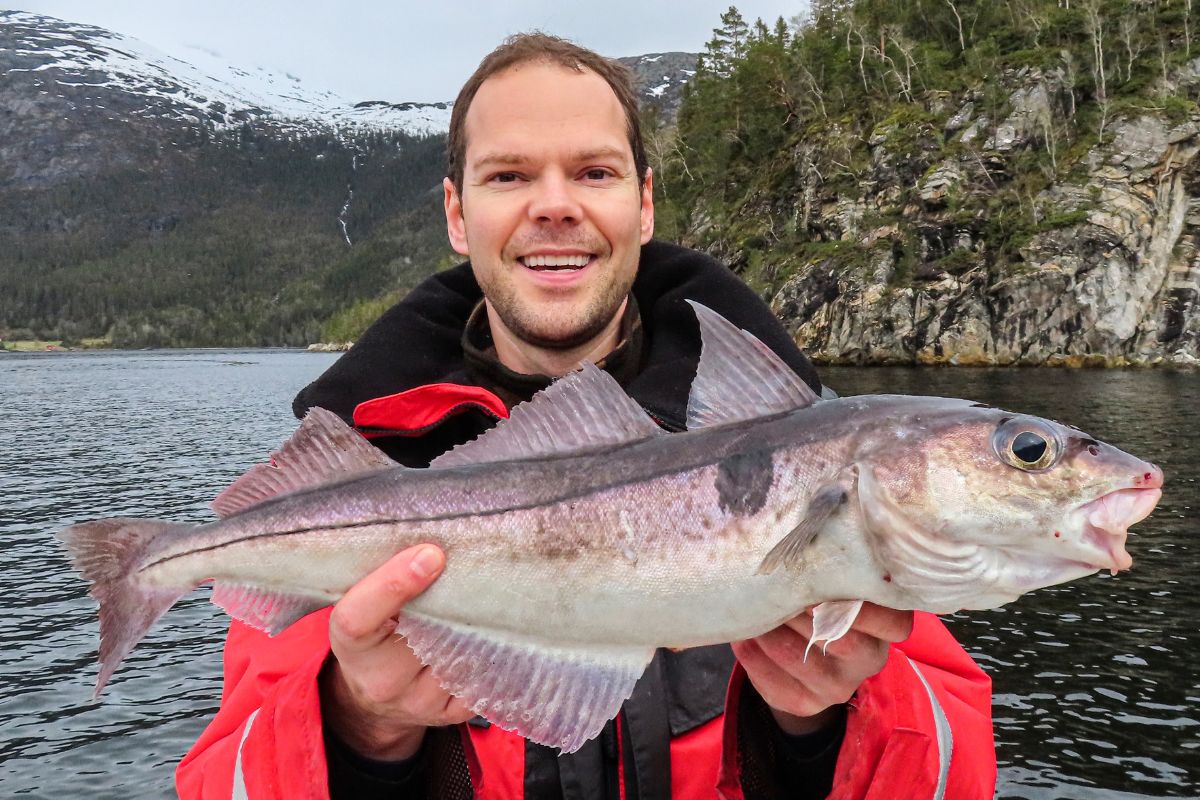 Angler mit Schellfisch