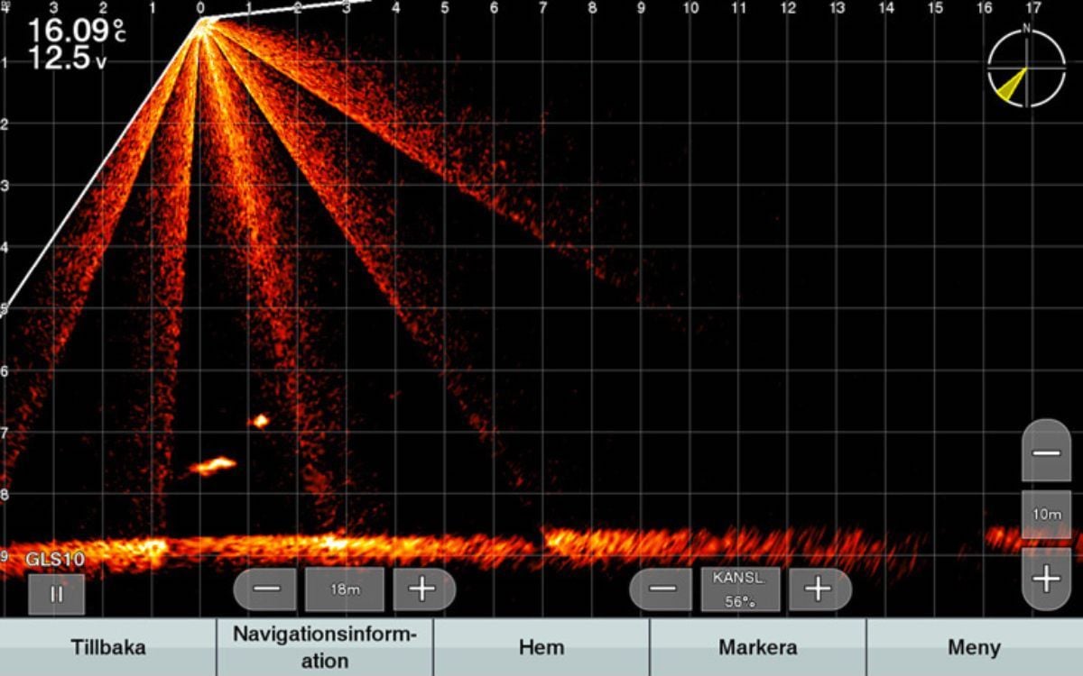 Echolotbild Hecht und Köder beim pelagischen Vertikalangeln