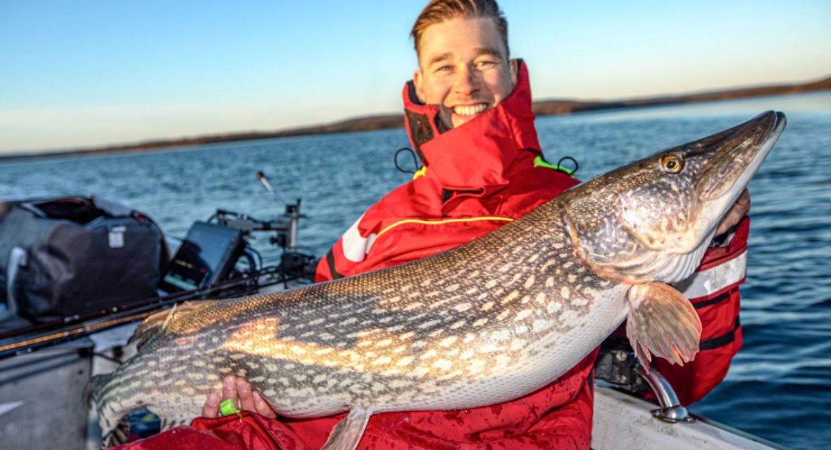 Glücklicher Angler mit Riesen-Hecht