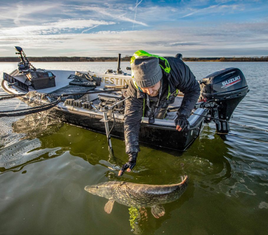 Angler setzt Hecht zurück