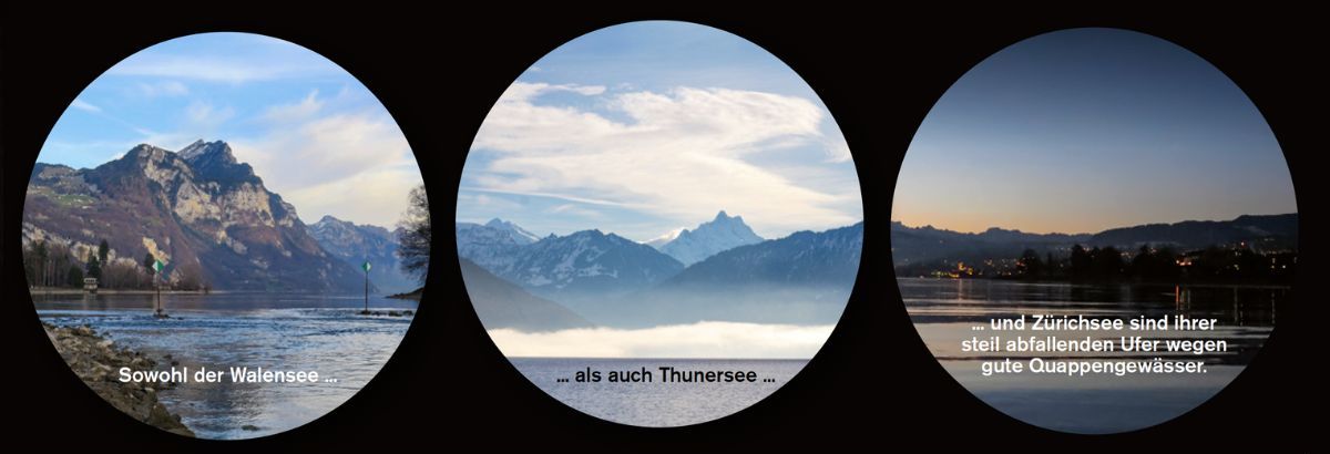 Walensee, Thunersee und Zürichsee