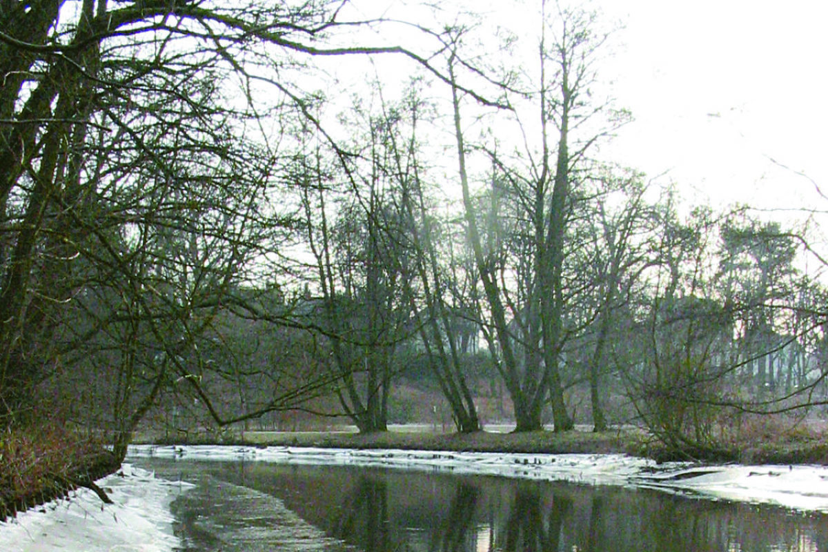 Randeis am Ufer, aber mit einer langen Rute kann man vor der Eiskante durchaus angeln. Eisangeln im Januar