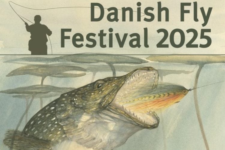 Danish Fly Festival