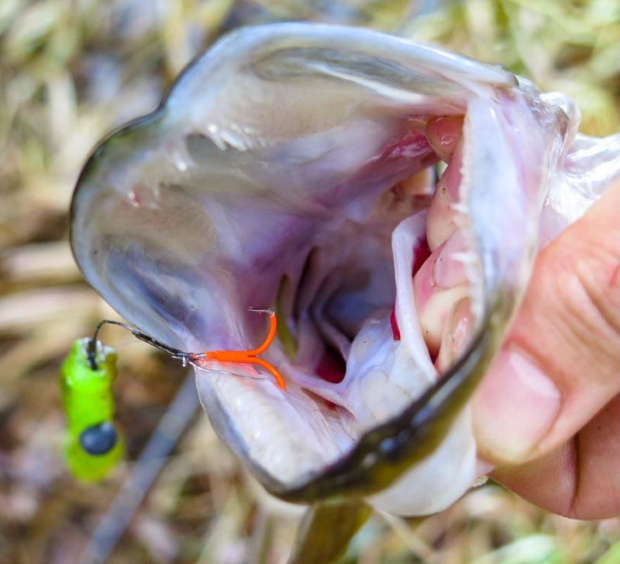 Hecht auf Gummifisch am Shallow Rig, Blick ins Maul mit Stinger-Drilling