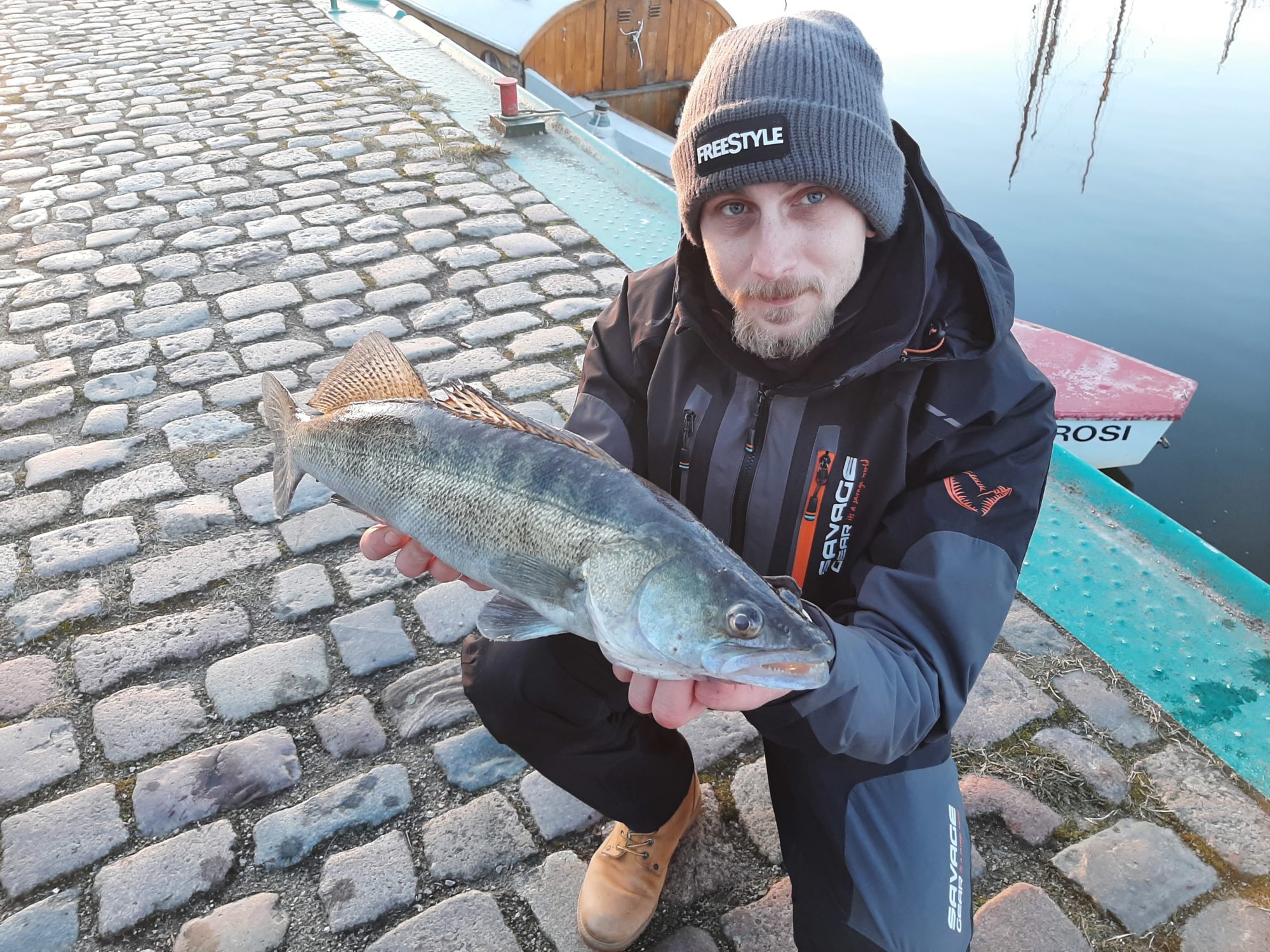 Zander Hafen Winter Spundwand