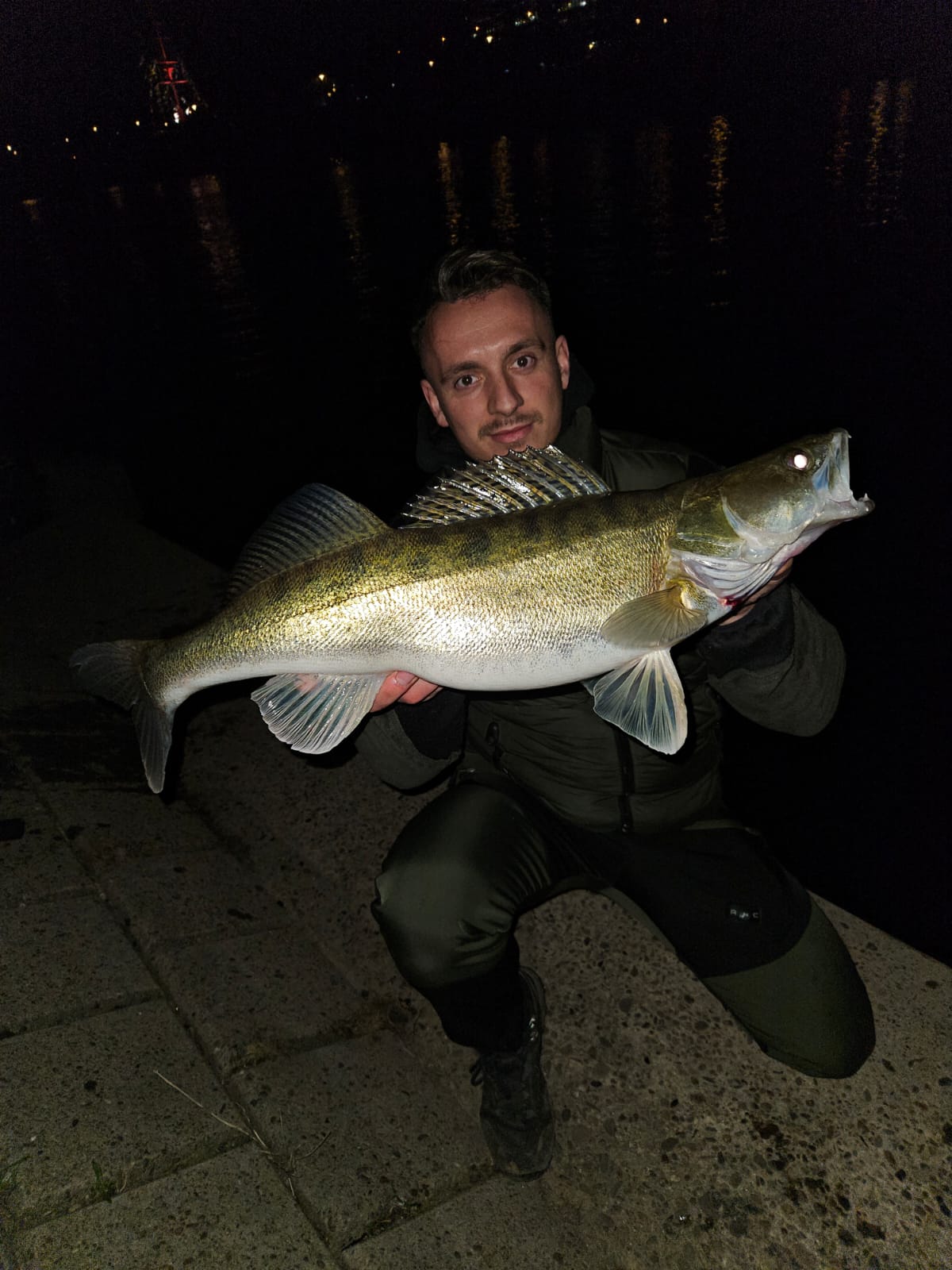 Zander Nacht Dunkelheit