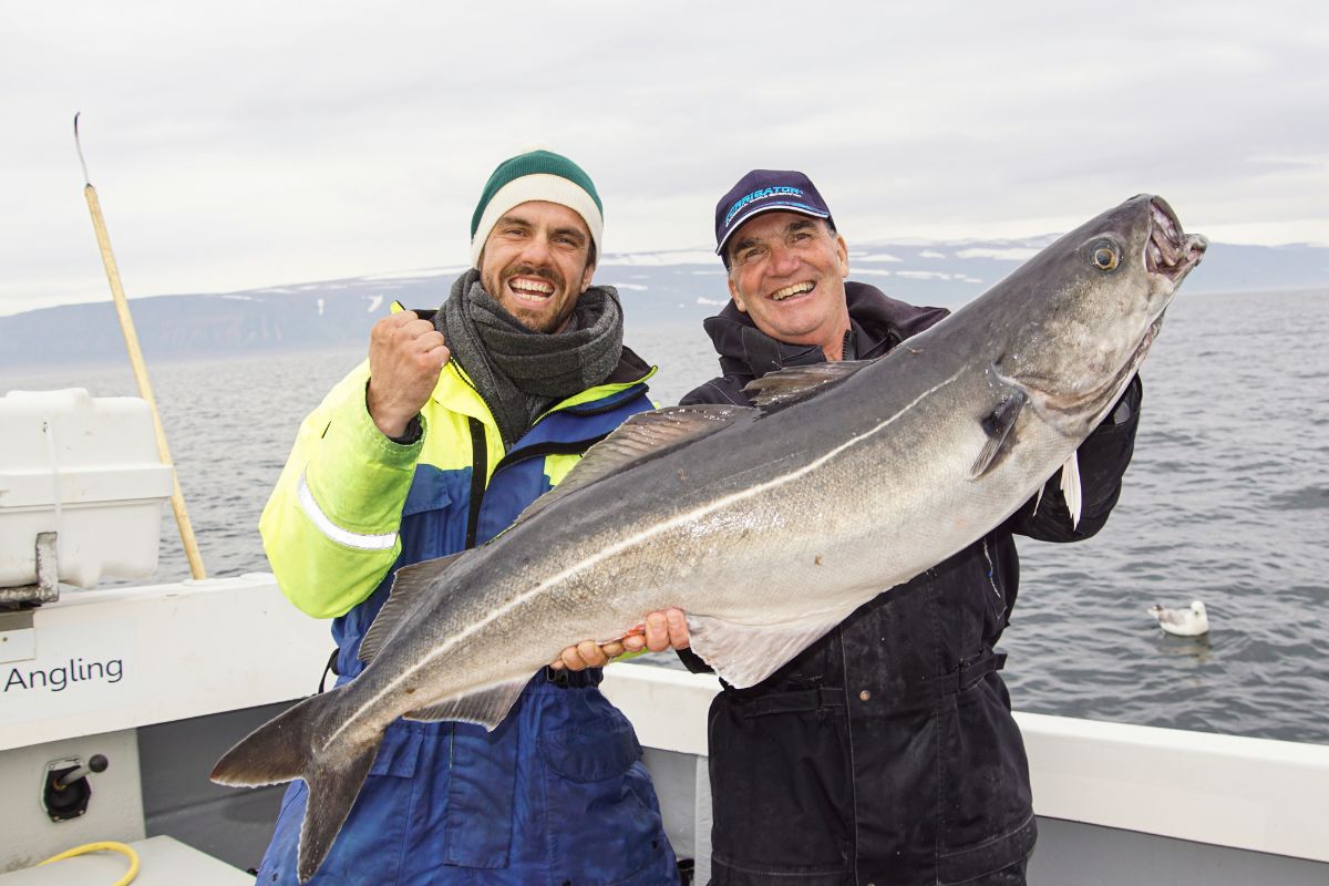 Zwei Angler mit großem Köhler vor Island