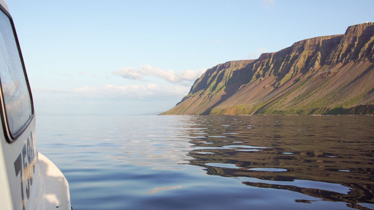 Blick aus dem Boot auf Island