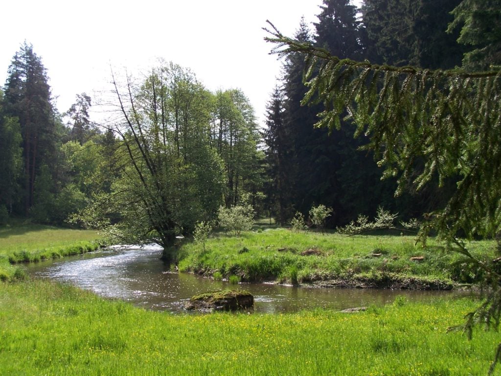 Oberpfälzer Wald Angeln