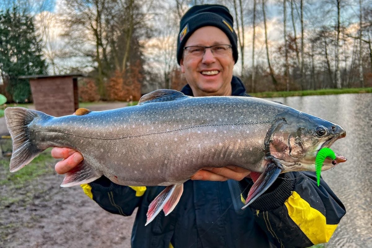 Michael Kahlstadt Gummiköder, Rippengummi, Saibling