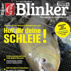 BLINKER