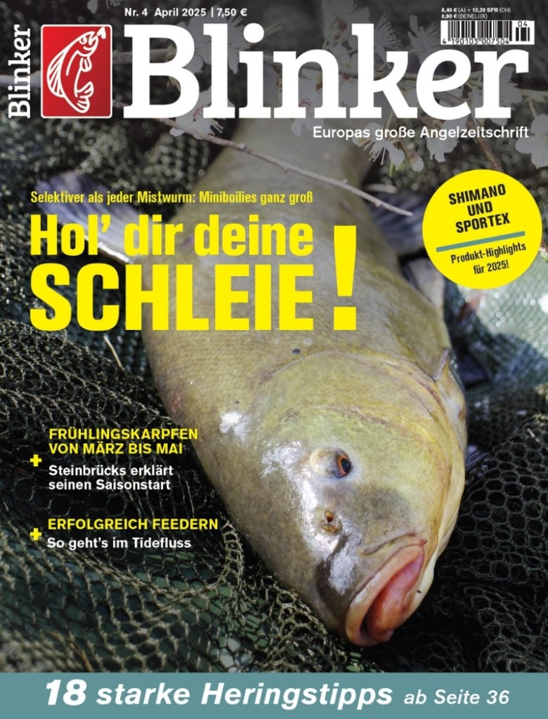 Blinker 04/2025: Hol dir deine Schleie!