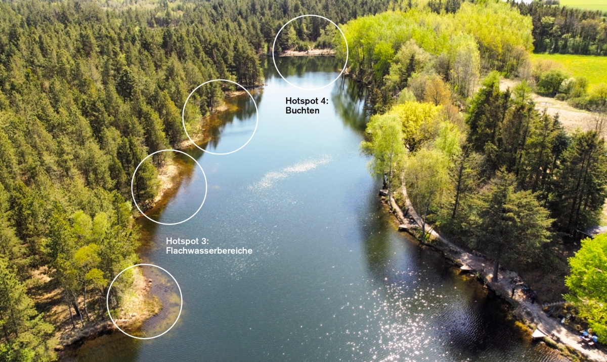 Waldsee mit eingezeichneten Hotspots für die Forellenangelei: Flachwasserbereiche und Buchten