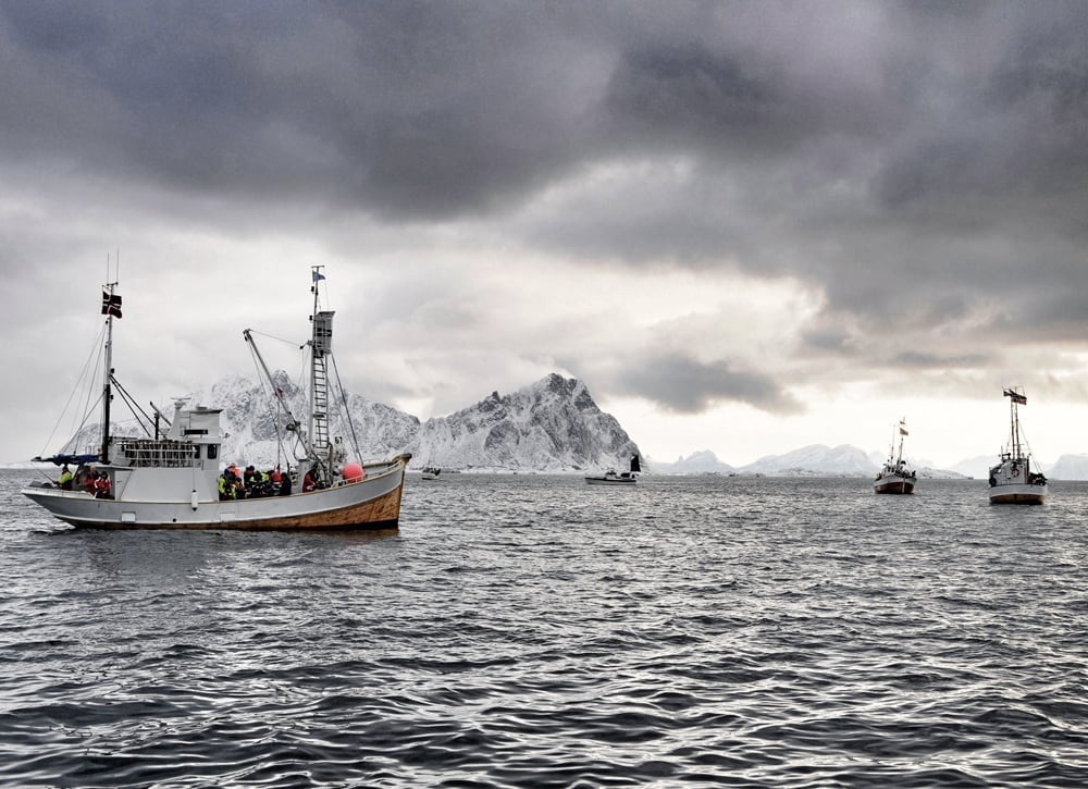 Weltmeisterschaft im Skrei-Angeln auf den Lofoten in Svolvær