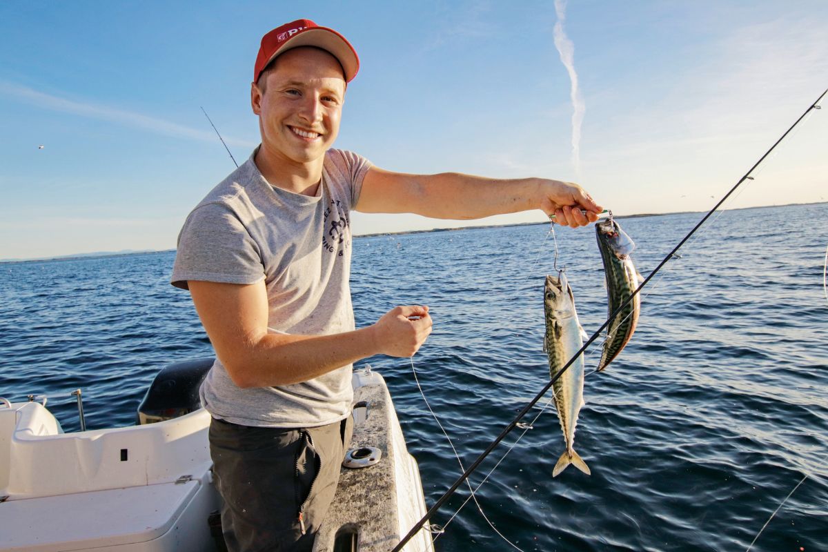 Bootsangler mit zwei Makrelen