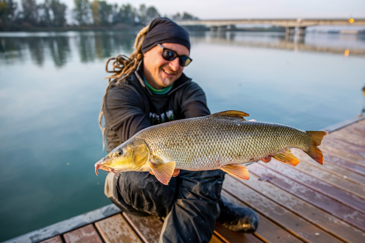 Angler mit Barbe aus dem Po in Italien