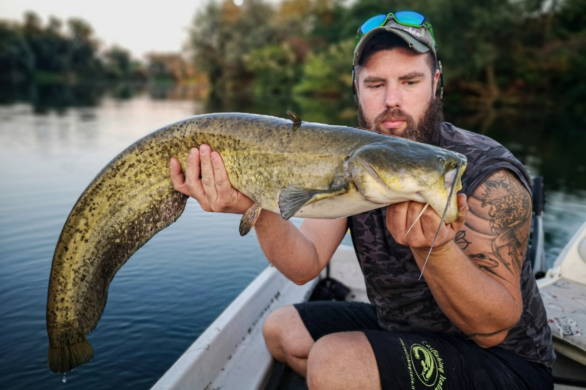 Simone Cipelletti mit einem toll gefärbten Fisch aus dem Po.